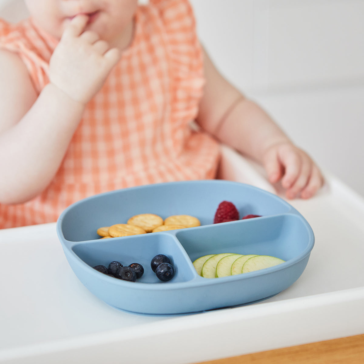 silicone plate + lid