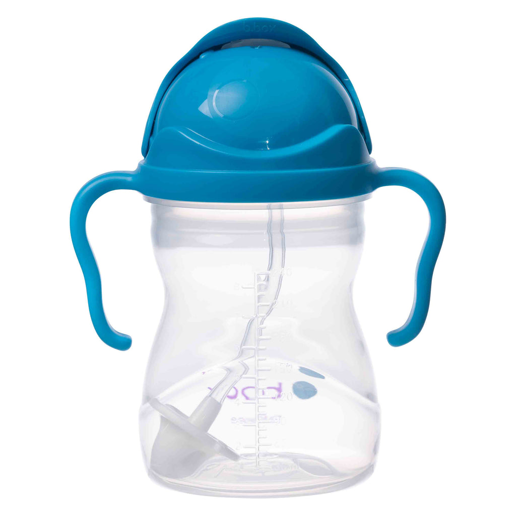 Sippy Straw Cup 240ml