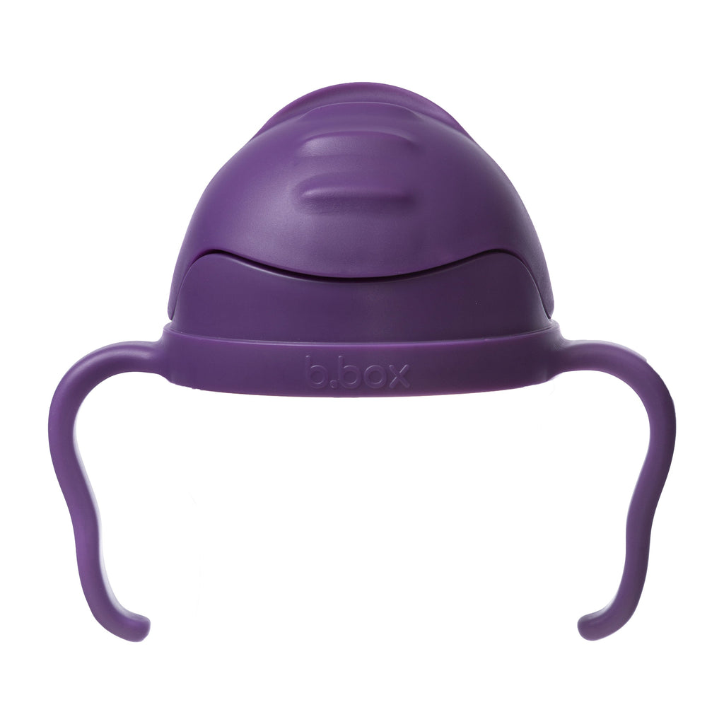 Sippy Straw Cup 240ml