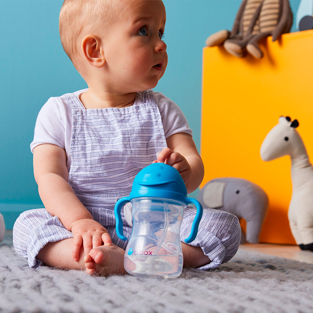 Sippy Straw Cup 240ml