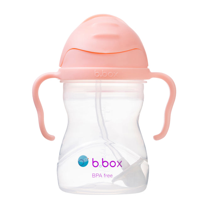 Sippy Straw Cup 240ml - Tutti Frutti