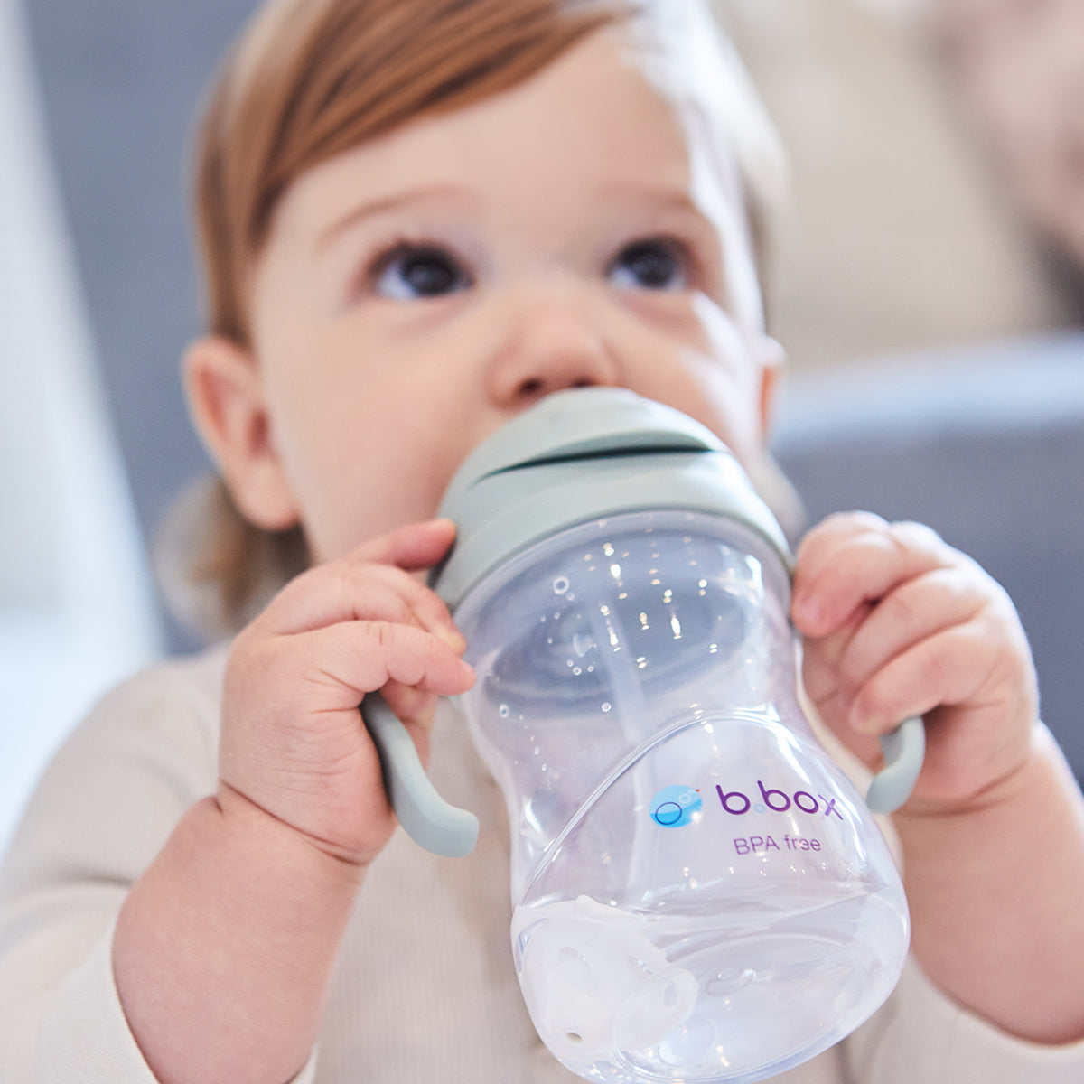Sippy Straw Cup 240ml - Sage