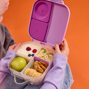 Mini Lunchbox - Sugar Plum