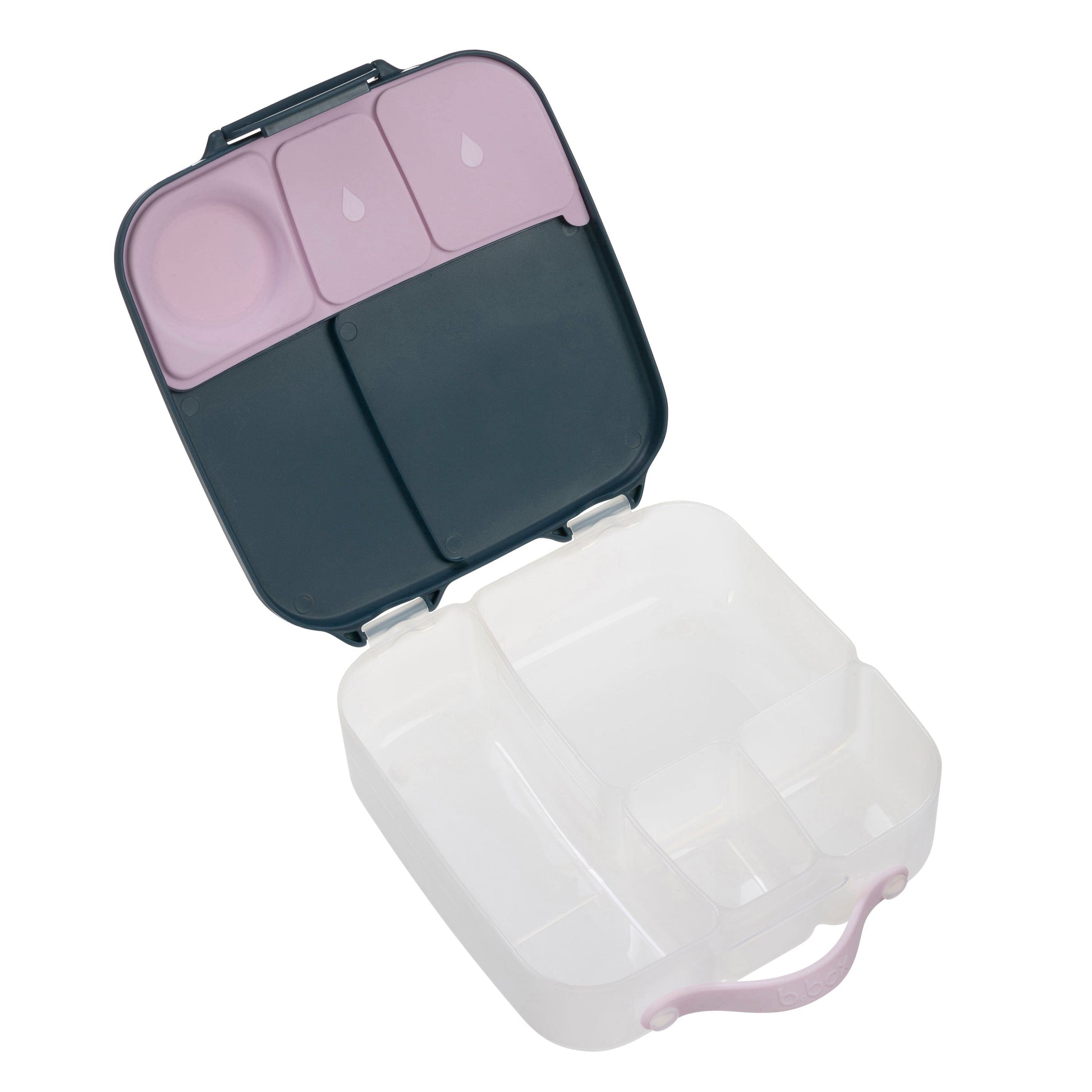 Lunchbox - Lilac Rose