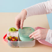 Lunch Tub - Forest