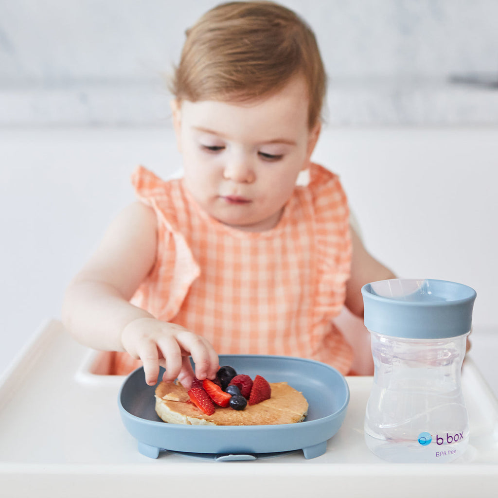 2 in 1 Suction Plate - Ocean