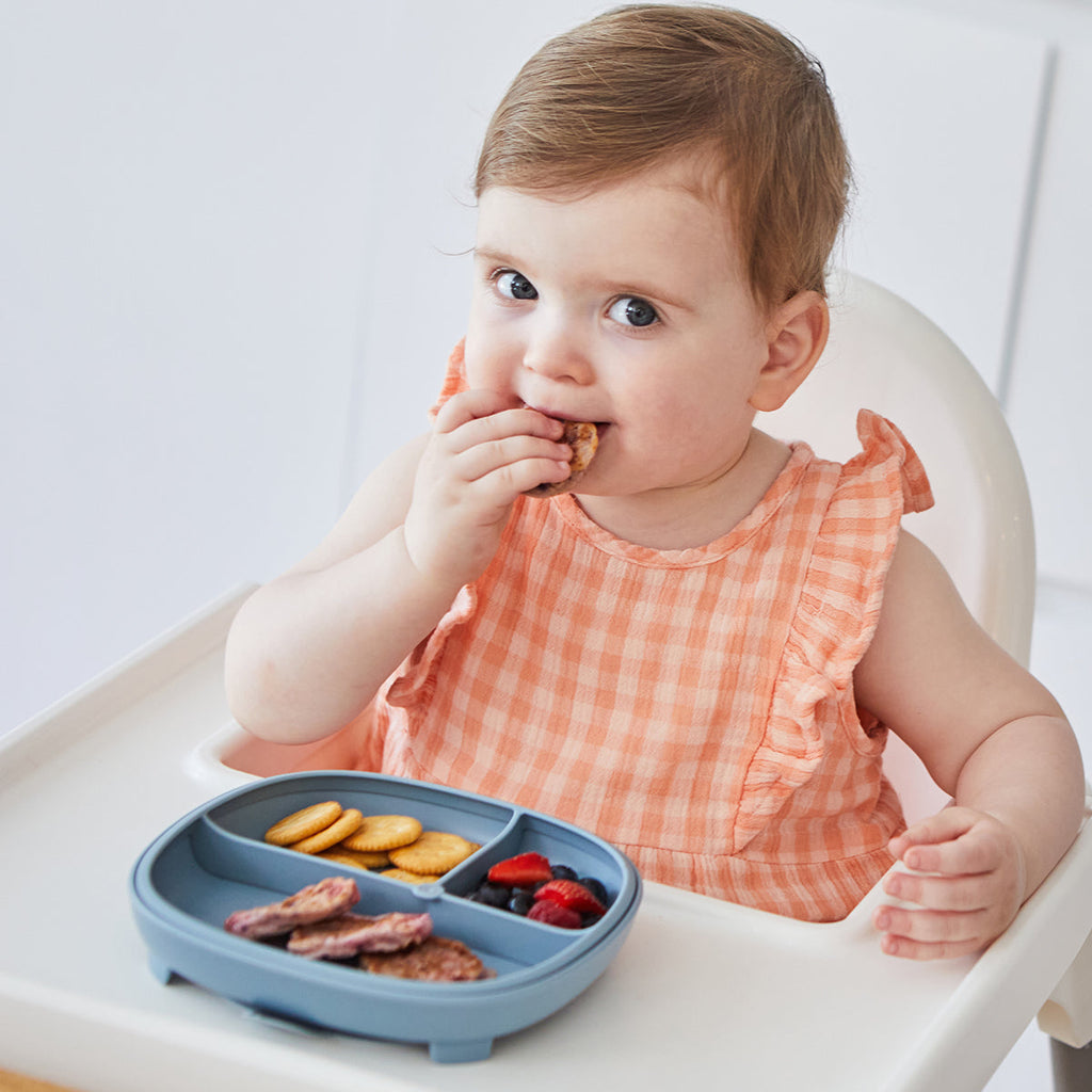 2 in 1 Suction Plate - Ocean