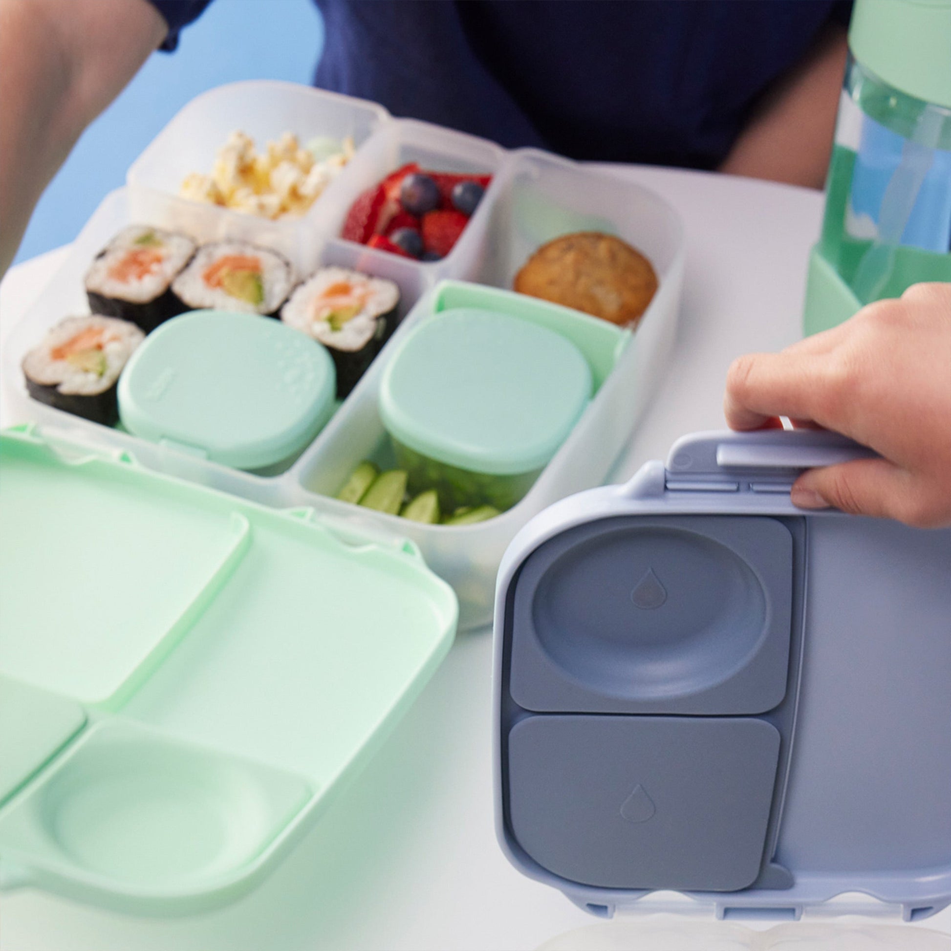 Snack Tubs - Forest