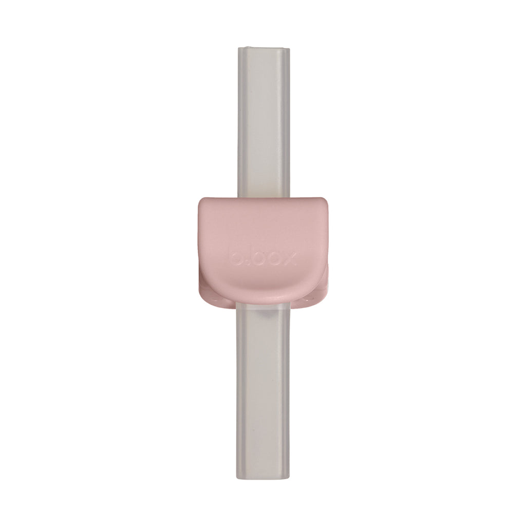 Sip + Snack Bowl - Blush