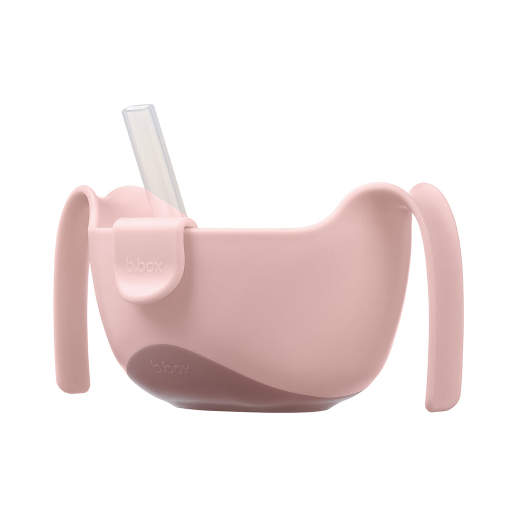 Sip + Snack Bowl - Blush