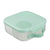 Spearmint