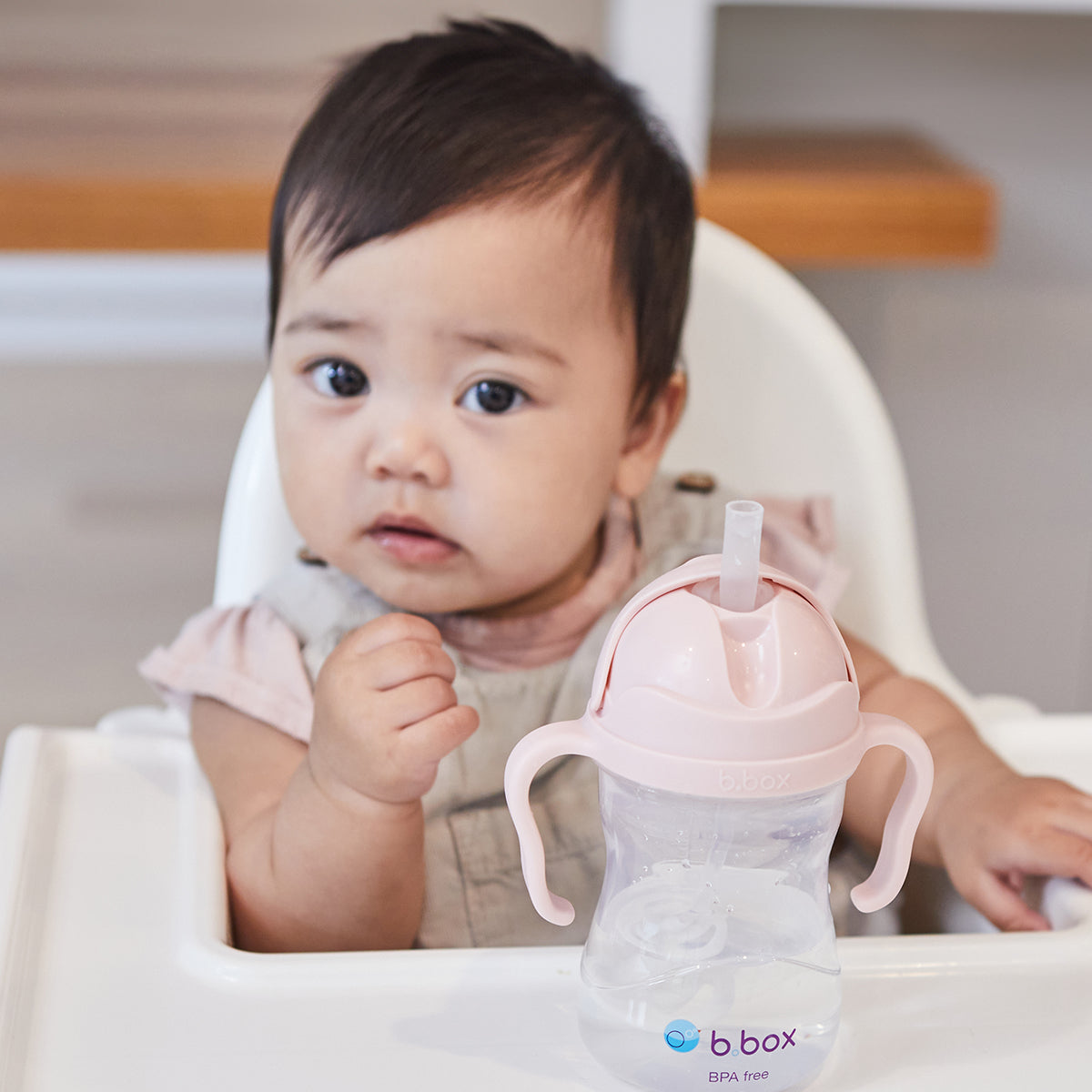 Sippy Straw Cup 240ml